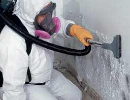 Best Forensic Mold Investigation in Wooster, OH